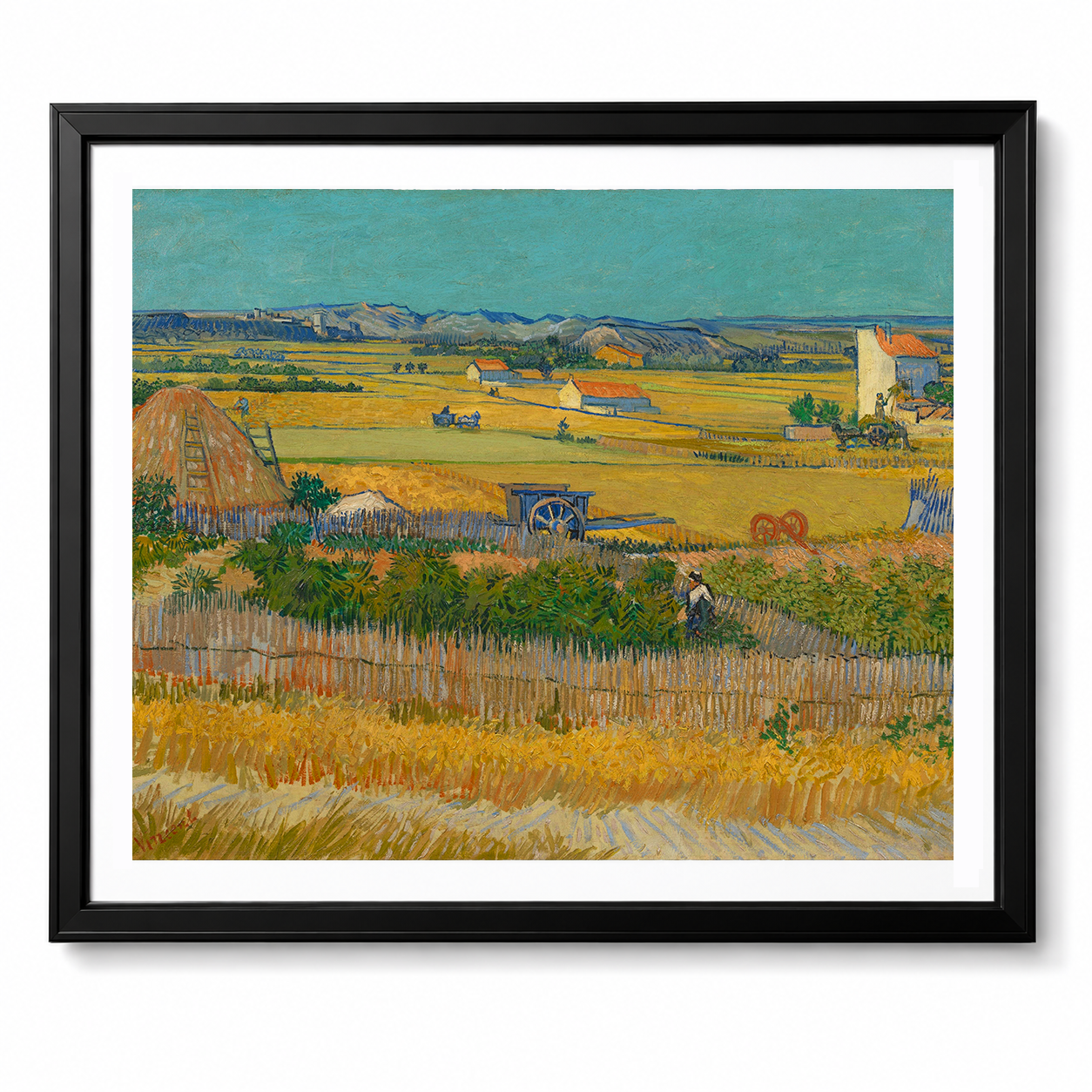 The Harvest