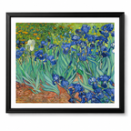 Irises (Getty Museum Version)