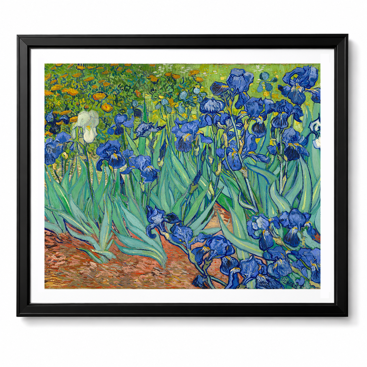 Irises (Getty Museum Version)