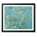 Almond Blossom