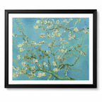 Almond Blossom