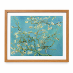 Almond Blossom