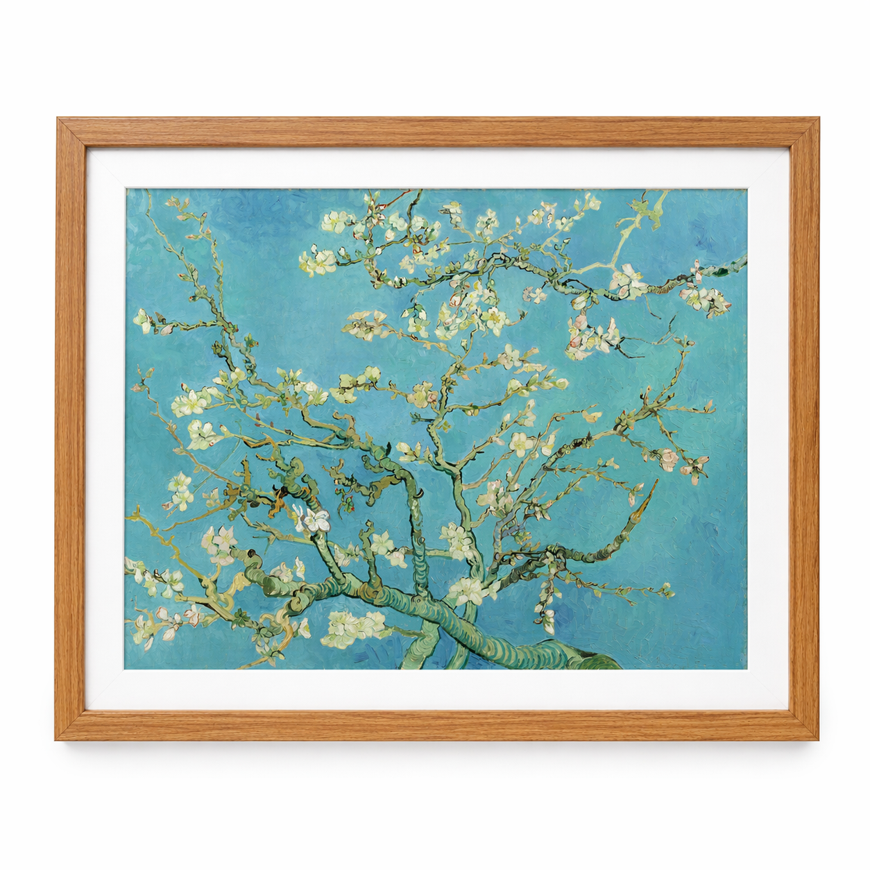 Almond Blossom