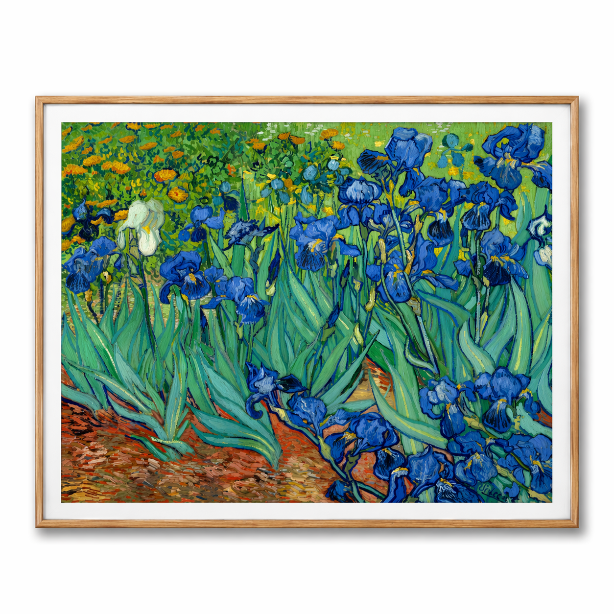 Irises (Getty Museum Version)