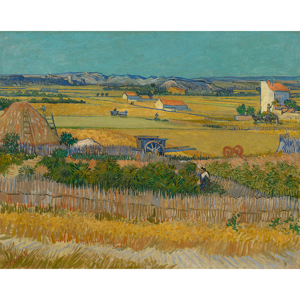 The Harvest
