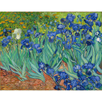 Irises (Getty Museum Version)