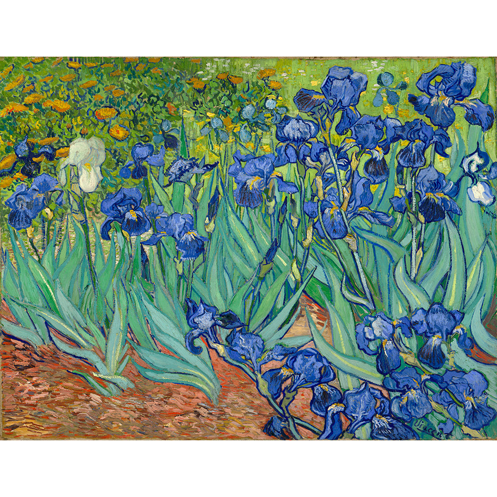 Irises (Getty Museum Version)