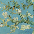 Almond Blossom