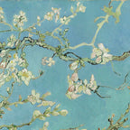 Almond Blossom