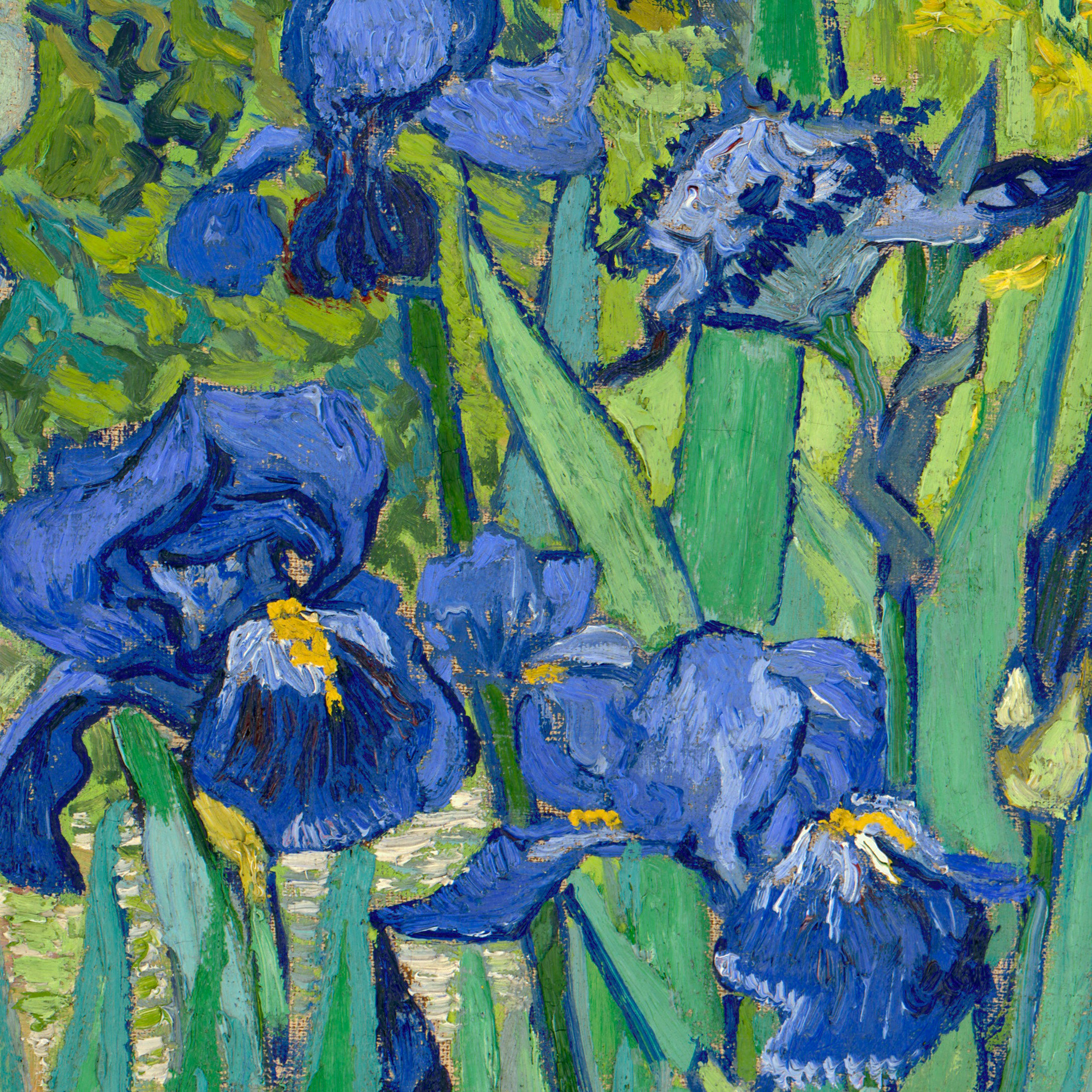 Irises (Getty Museum Version)