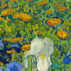 Irises (Getty Museum Version)