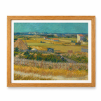 The Harvest